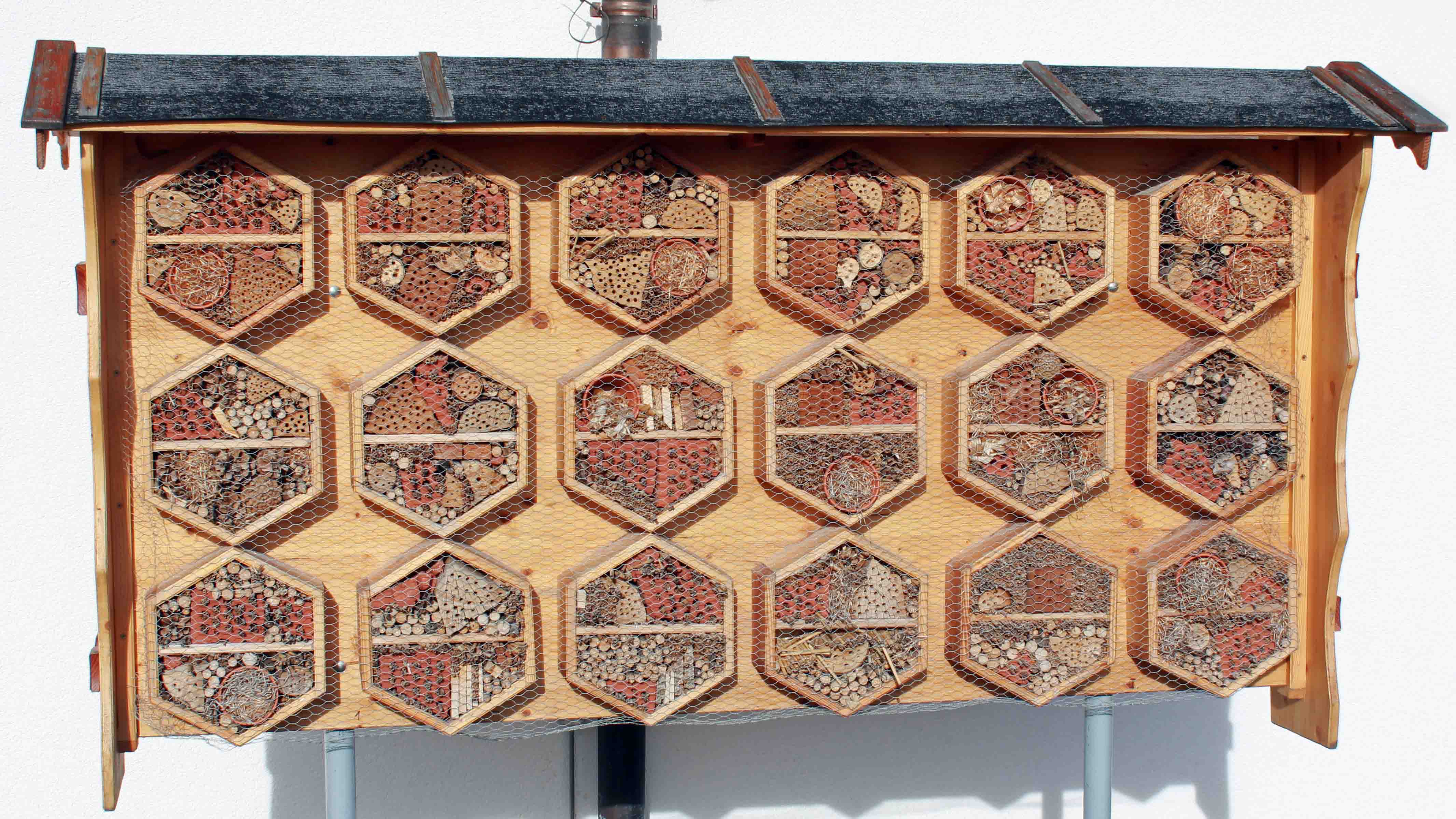 Laufend im Gespräch: Kommunalpolitischer Rundgang durch Aßling