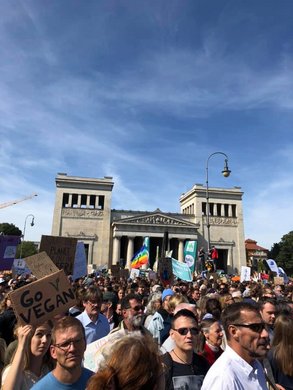 Demonstranten am Königsplatz